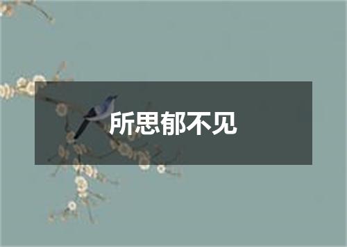 所思郁不见