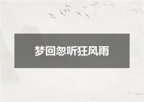 梦回忽听狂风雨