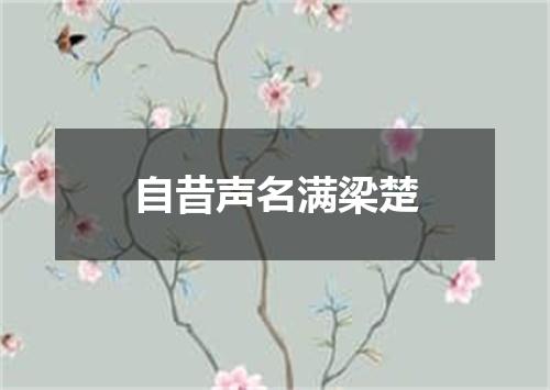 自昔声名满梁楚