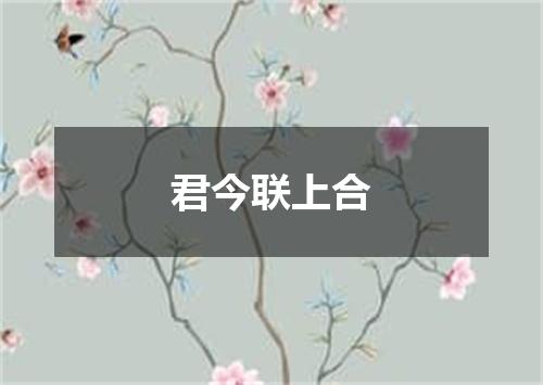 君今联上合