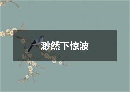 渺然下惊波