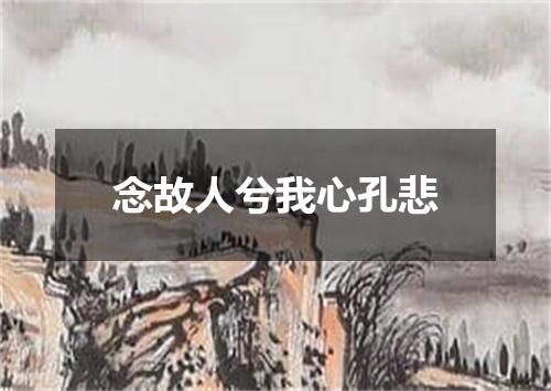 念故人兮我心孔悲