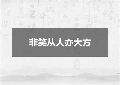 非笑从人亦大方