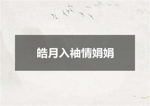皓月入袖情娟娟