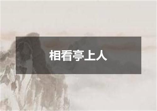 相看亭上人