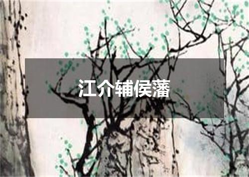 江介辅侯藩
