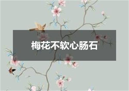 梅花不软心肠石