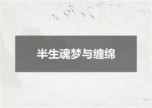 半生魂梦与缠绵