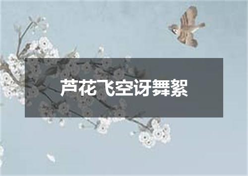 芦花飞空讶舞絮