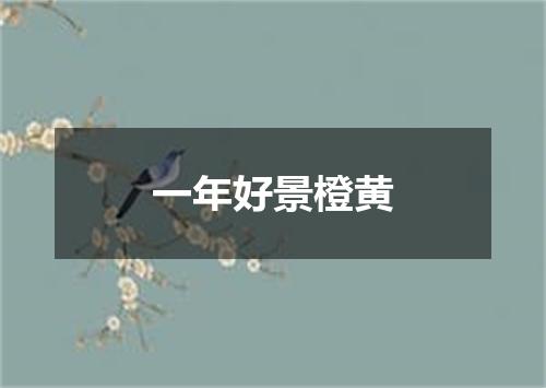 一年好景橙黄