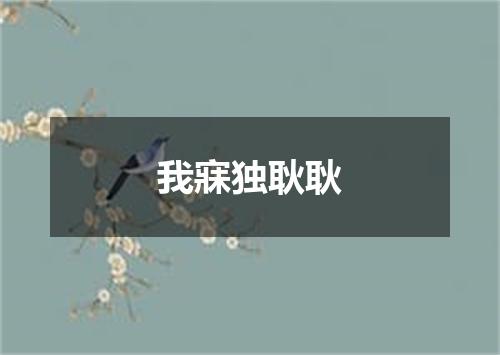 我寐独耿耿