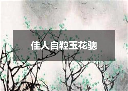 佳人自鞚玉花骢