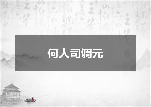 何人司调元