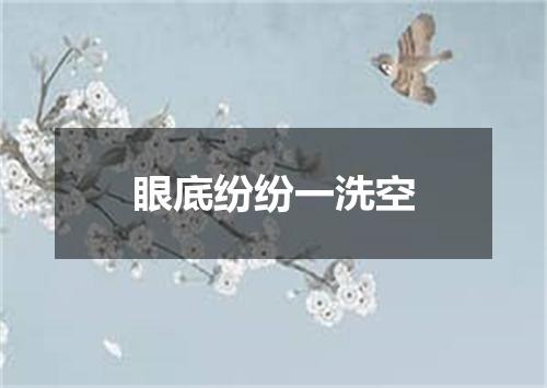 眼底纷纷一洗空