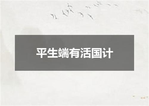 平生端有活国计