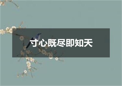 寸心既尽即知天