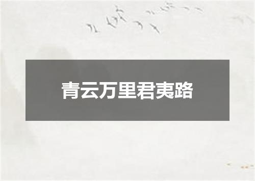 青云万里君夷路