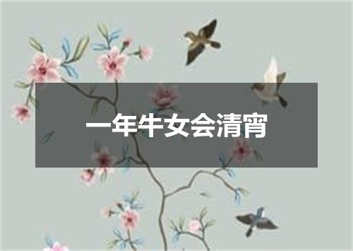 一年牛女会清宵