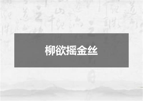 柳欲摇金丝
