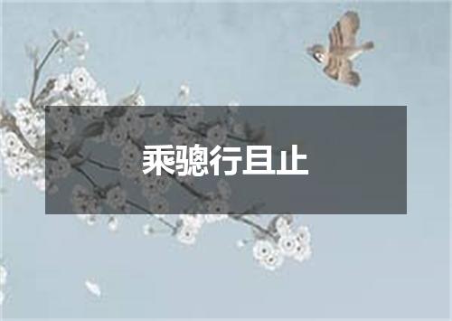 乘骢行且止