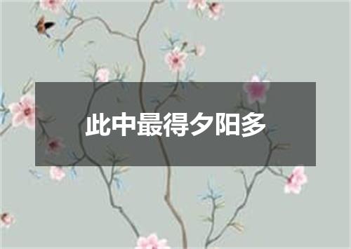 此中最得夕阳多