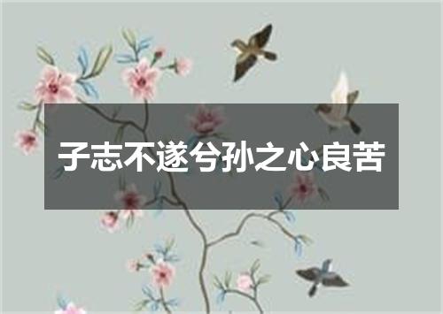 子志不遂兮孙之心良苦