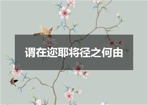 谓在迩耶将径之何由