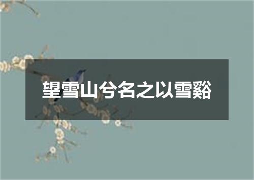 望雪山兮名之以雪谿