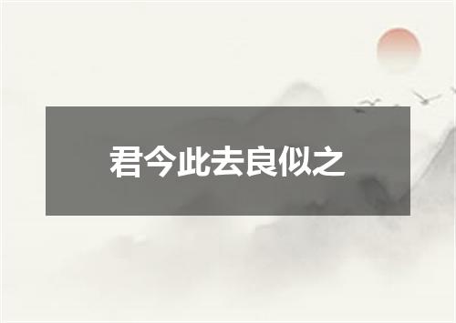 君今此去良似之