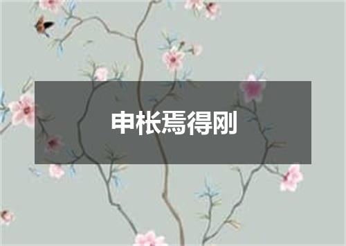 申枨焉得刚