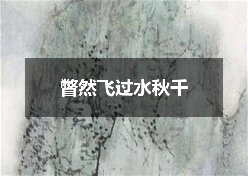 瞥然飞过水秋千