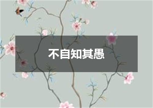 不自知其愚