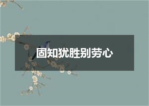 固知犹胜别劳心
