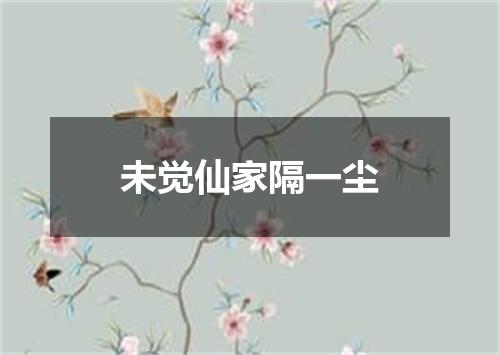 未觉仙家隔一尘