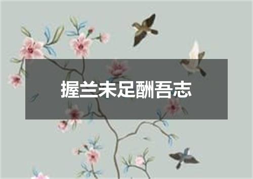 握兰未足酬吾志