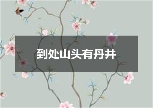 到处山头有丹井