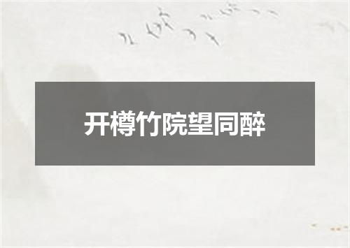 开樽竹院望同醉
