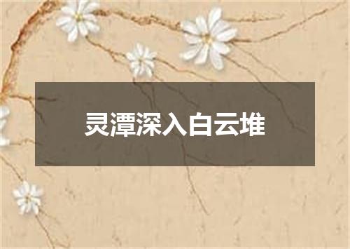 灵潭深入白云堆