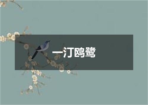 一汀鸥鹭