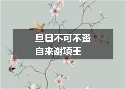 旦日不可不蚤自来谢项王