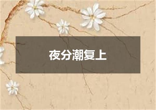 夜分潮复上