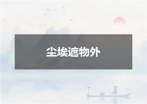 尘埃遮物外
