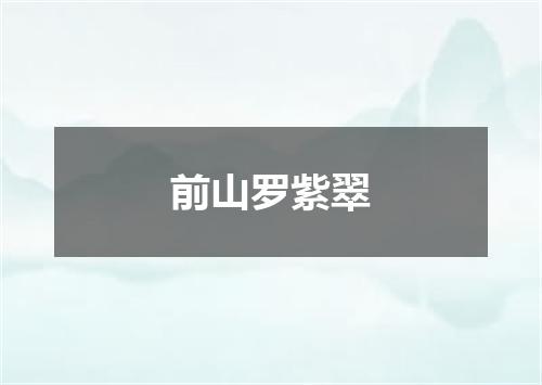 前山罗紫翠