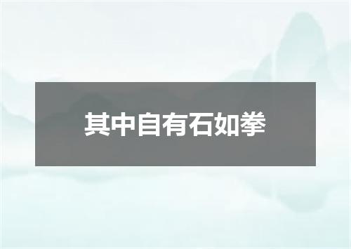 其中自有石如拳
