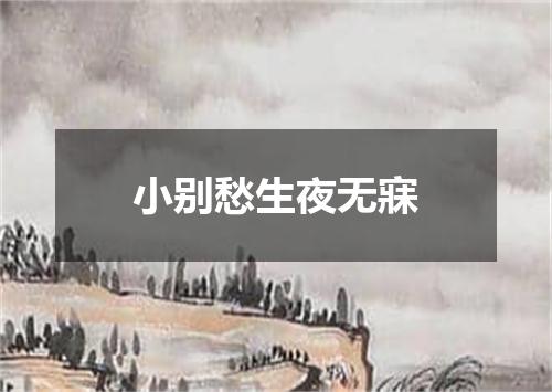 小别愁生夜无寐
