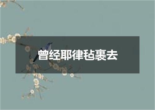 曾经耶律毡裹去