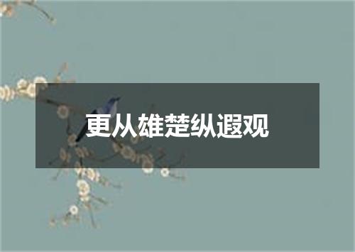 更从雄楚纵遐观