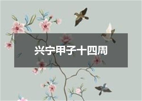 兴宁甲子十四周