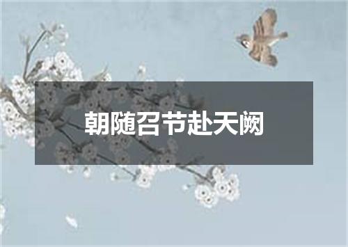 朝随召节赴天阙