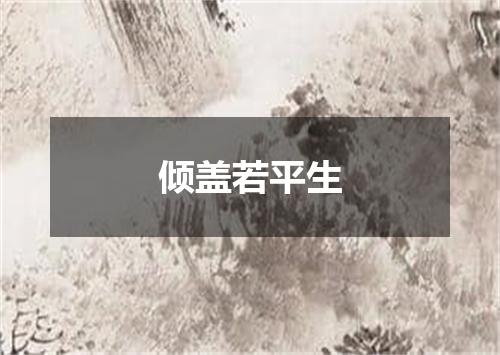 倾盖若平生